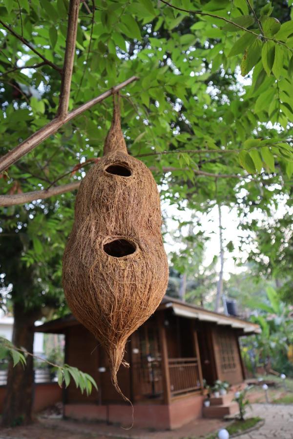 Greenchromide Homestays Mundrothuruth エクステリア 写真